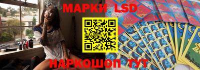 гашик Донской
