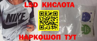 гашик Донской