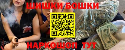 гашик Дубна