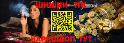 гашик Дубна