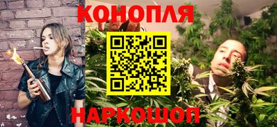гашик Дубна