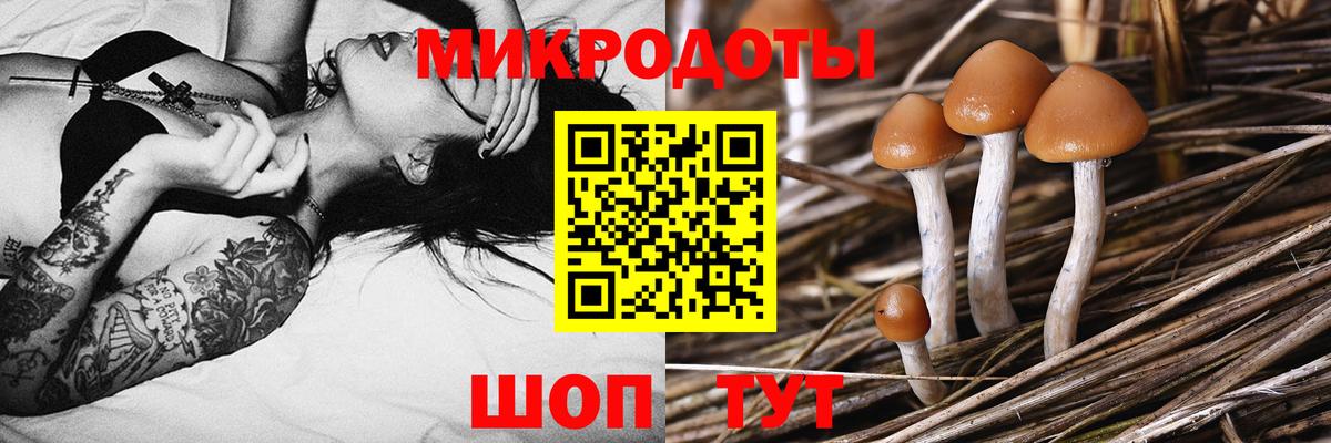 Галлюциногенные грибы мицелий Мценск